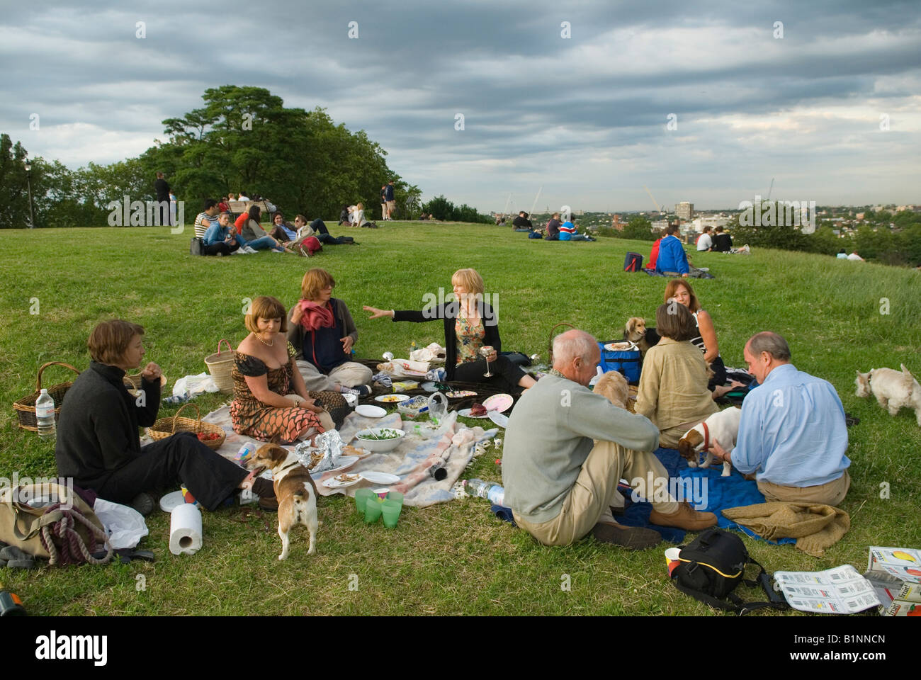 Dog owners summers evening alfresco picnic, Primrose Hill London skyline Middle aged Londoners having a get together. UK 2008 2000s HOMER SYKES Stock Photo