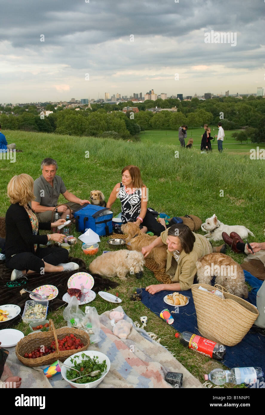 Dog owners with their pet dogs a summers evening alfresco picnic, Primrose Hill London skyline   Middle class Londoners UK 2008 2000s HOMER SYKES Stock Photo