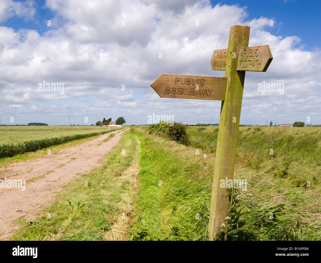 Wooden signpost indicating direction of public footpaths and bridleways, East Yorkshire, England UK Stock Photo