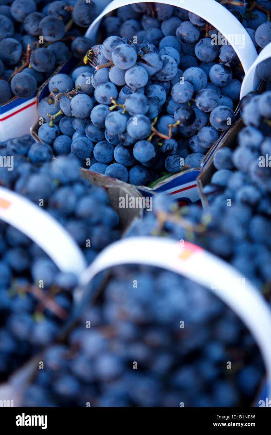 Grapes in a market hires stock photography and images Alamy