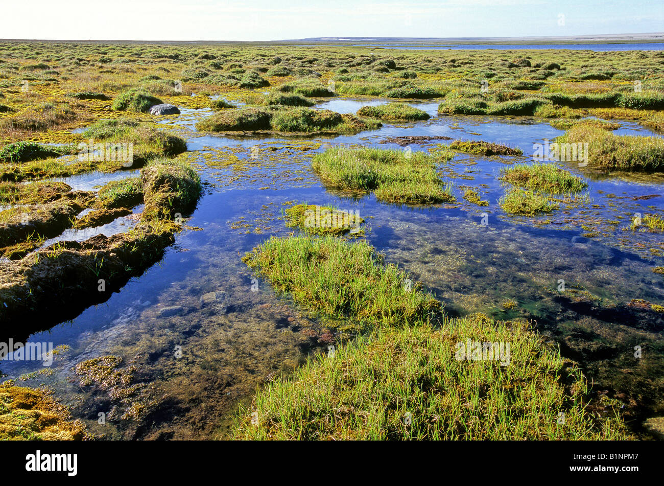 Wetlands on Mansel Island Stock Photo