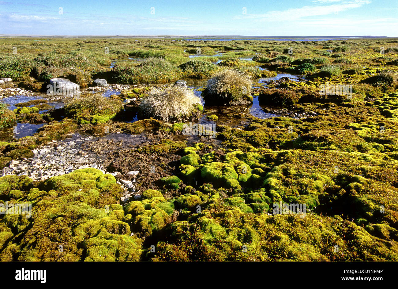 Wetlands on Mansel Island in the Hudson Bay in Canada Stock Photo