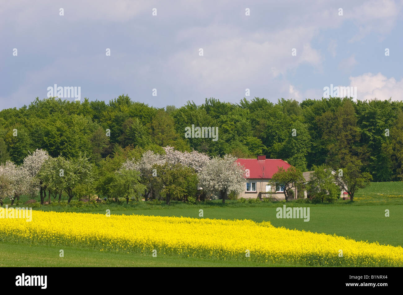 Farmland in rural Swietokrzyskie Mountains Poland Stock Photo Alamy
