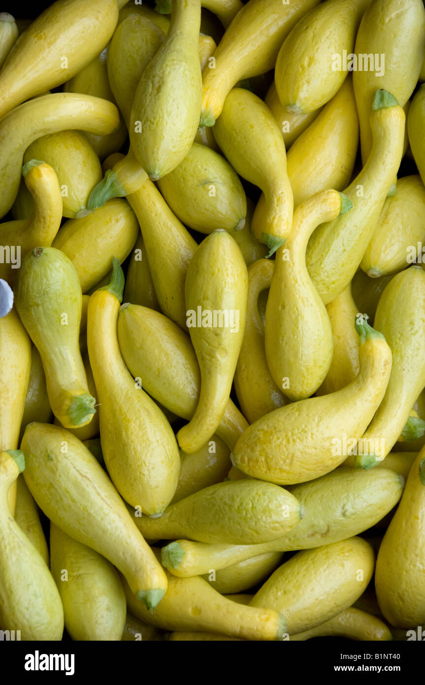 Yellow Gourds Stock Photos & Yellow Gourds Stock Images Alamy