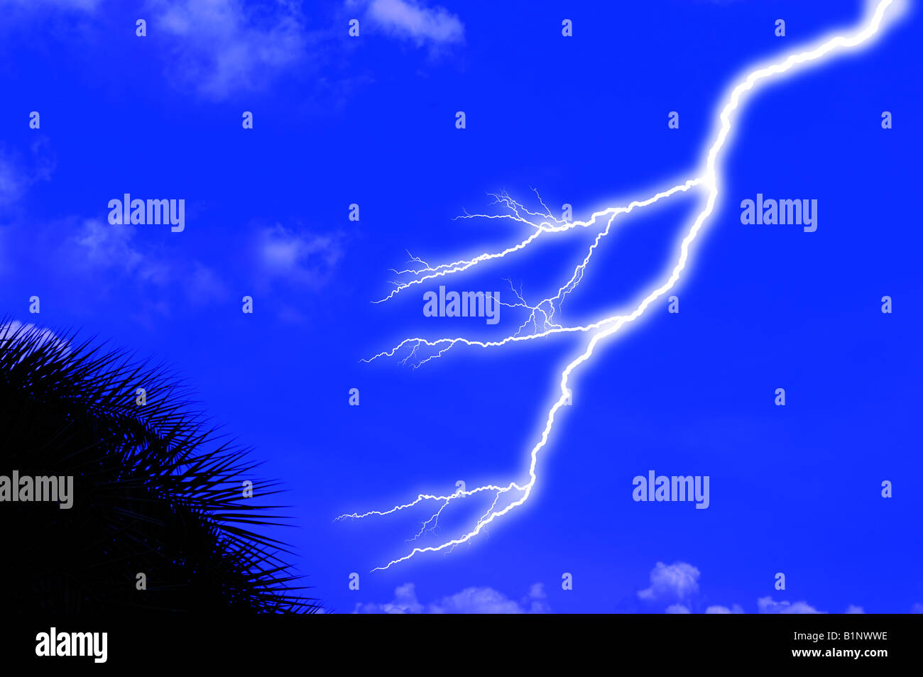 lightning bolt in a clear sky palm tree Stock Photo Alamy