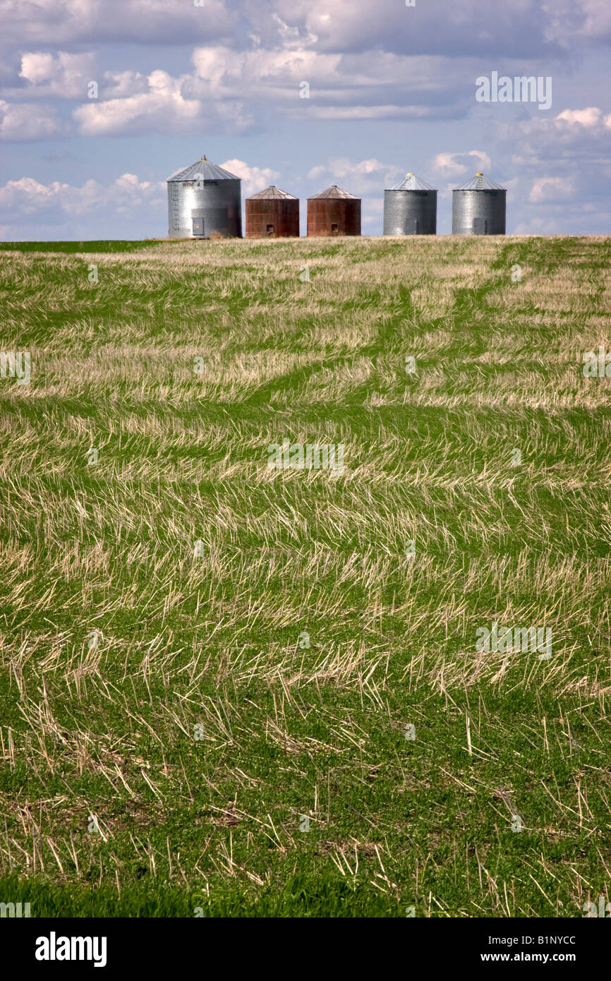 Five Grain Bins Stock Photo