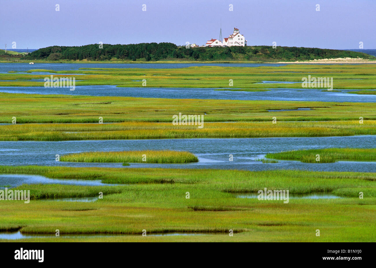 Tidal salt marsh, Wellfeeet, Cape Cod, Massachusetts Stock Photo