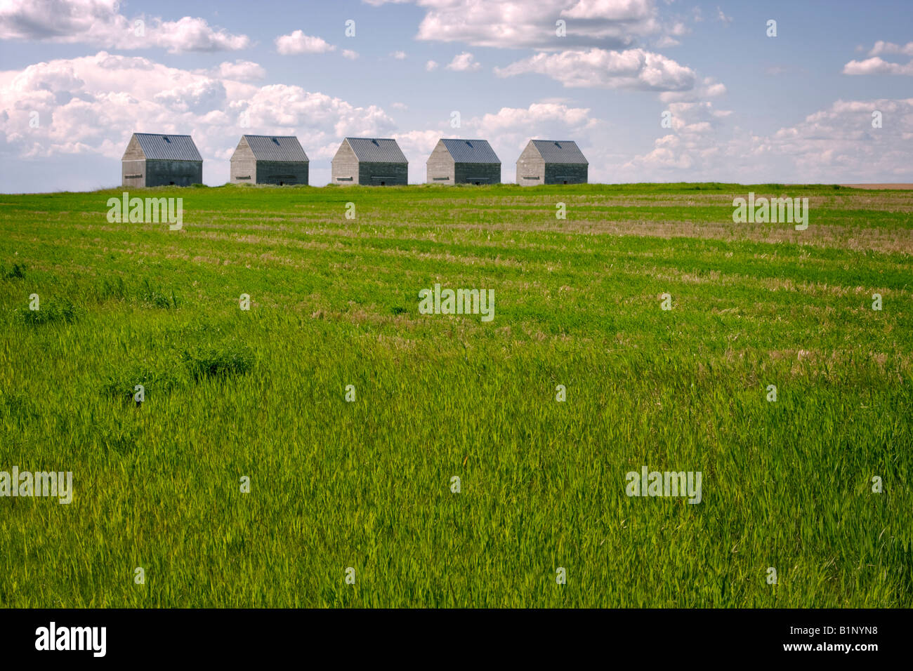 Grain storage sheds hi-res stock photography and images - Alamy
