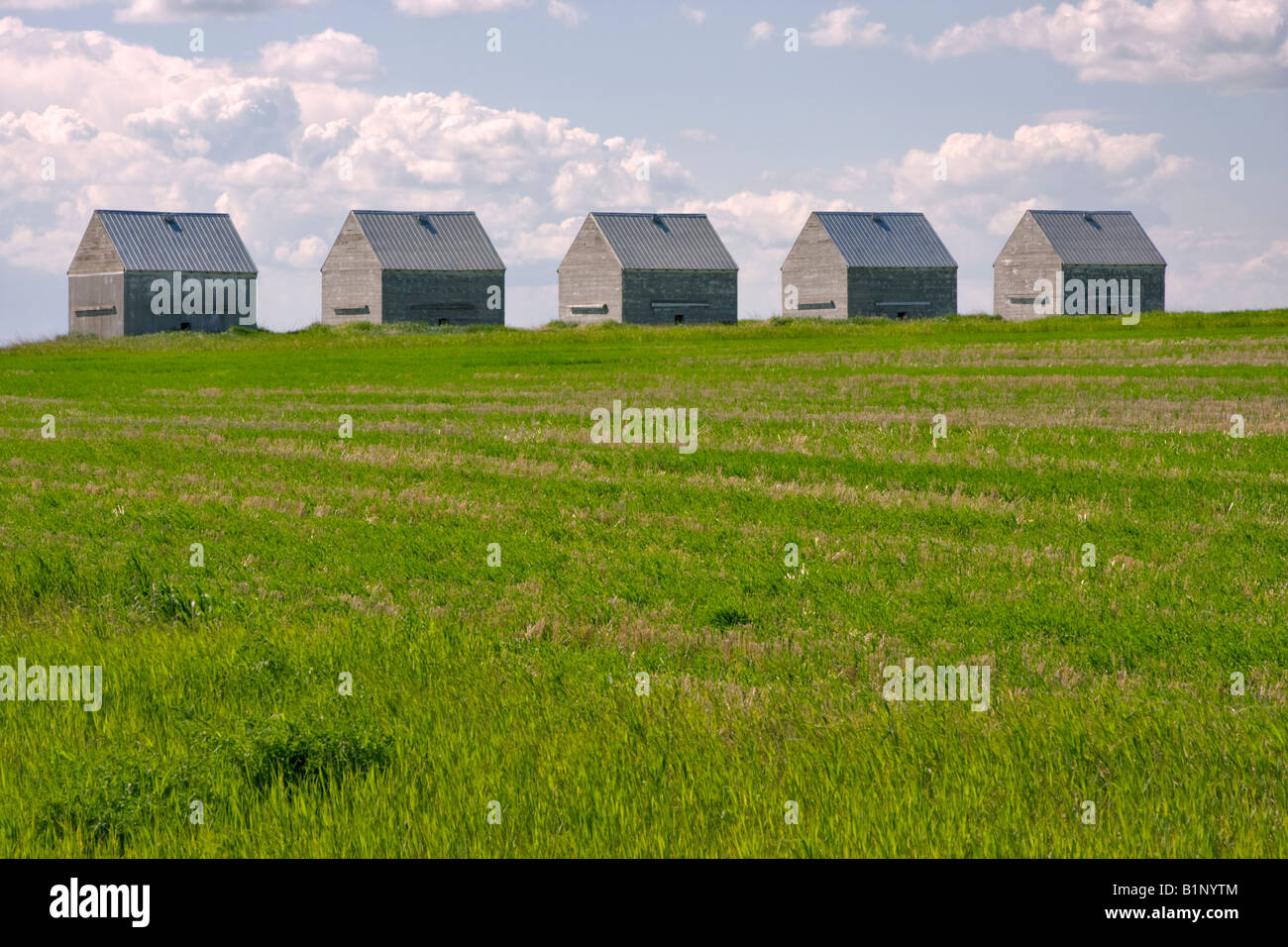 Bin sheds hi-res stock photography and images - Alamy