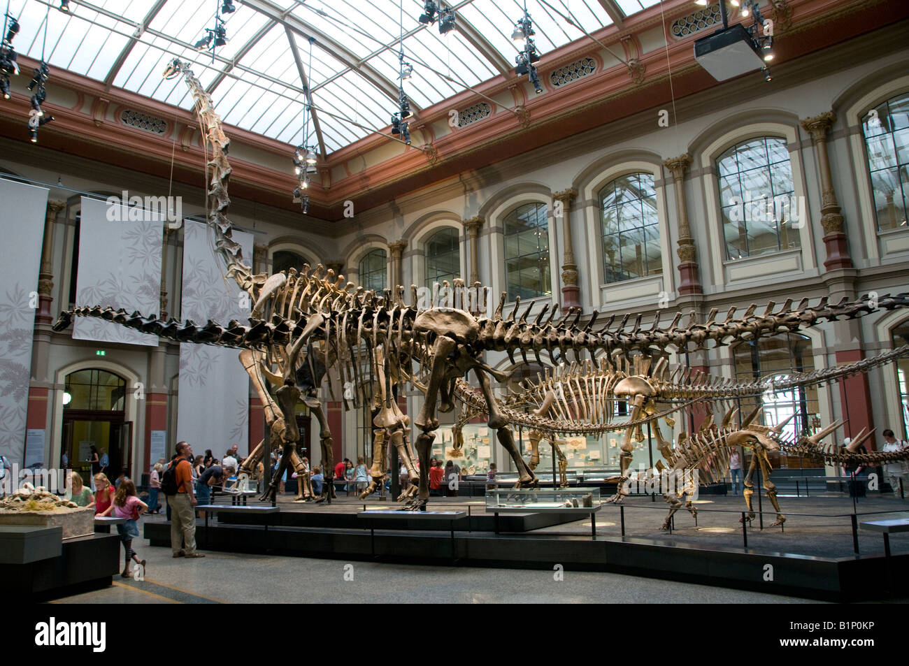 The Museum Of Natural History In Berlin High Resolution Stock Photography  and Images - Alamy
