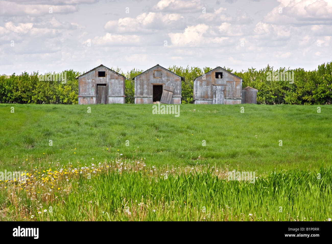 Ramshackle sheds hi-res stock photography and images - Alamy