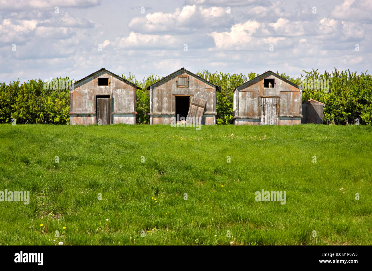 Ramshackle sheds hi-res stock photography and images - Alamy