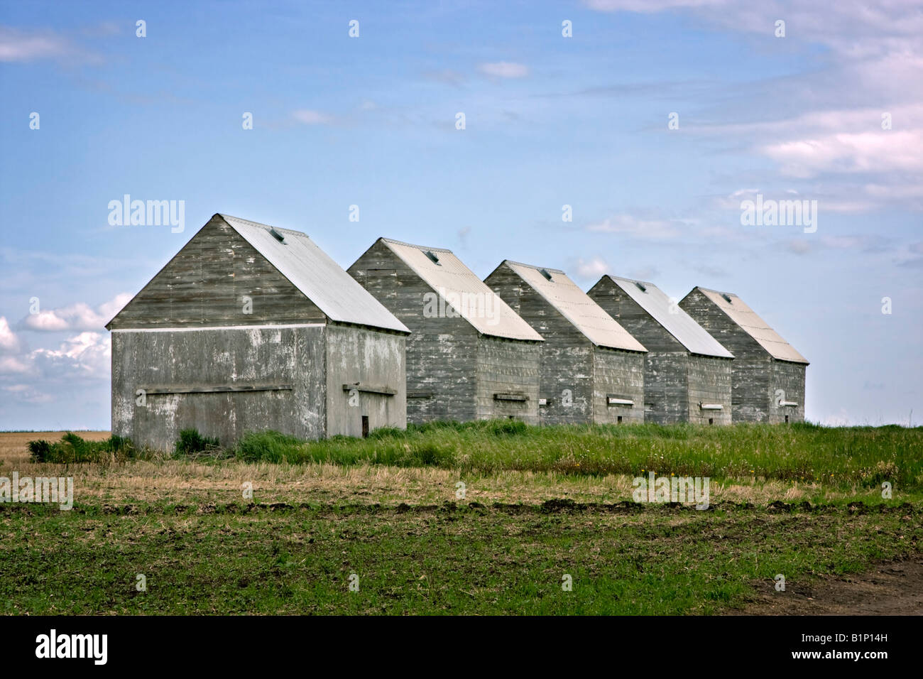 Grain sheds hi-res stock photography and images - Alamy