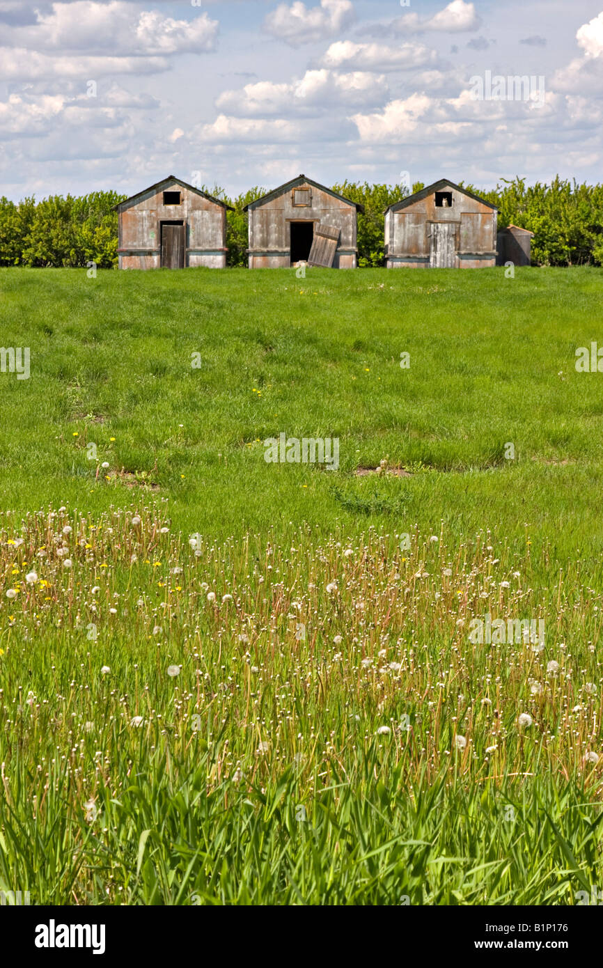 Ramshackle sheds hi-res stock photography and images - Alamy