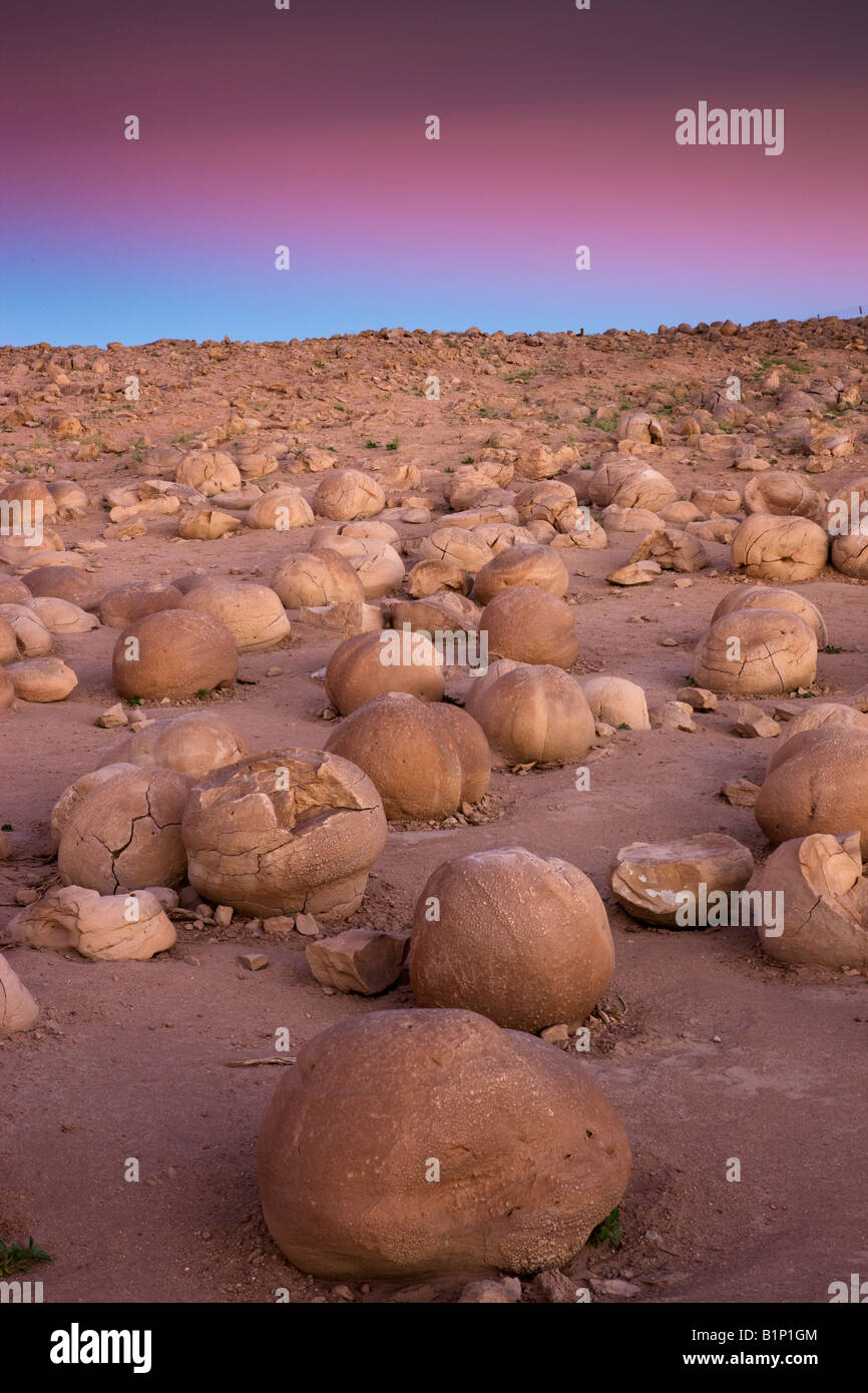 The Pumpkin Patch Anza Borrego Desert State Park California Stock Photo