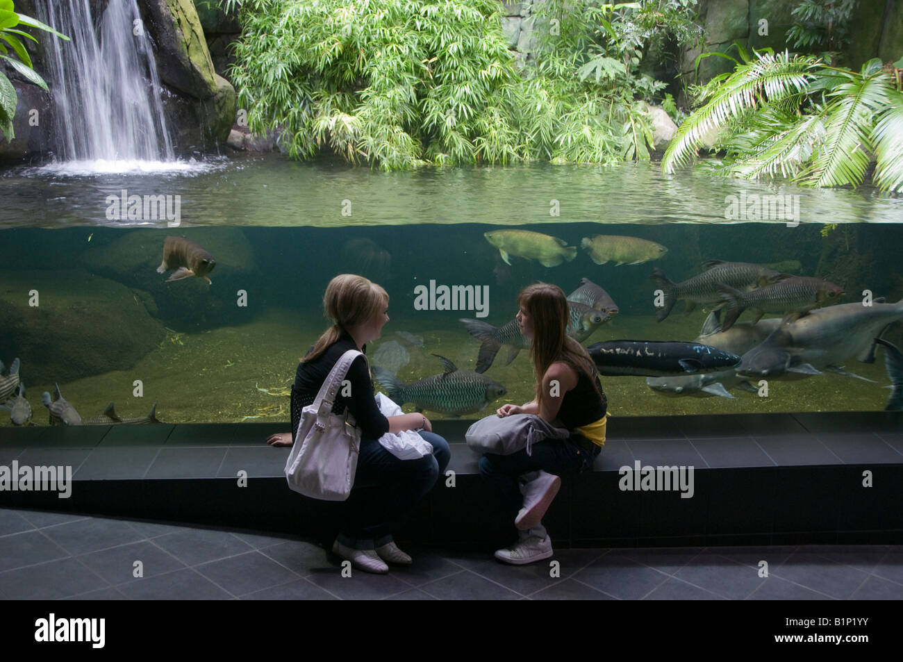Young Visitors In The Aquarium At The Berlin Zoological Garden