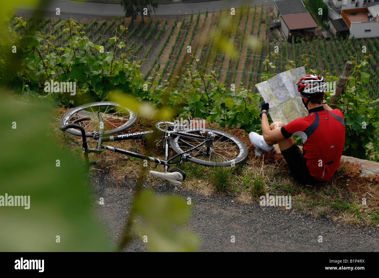 Radfahrer in den Weinbergen rund um Bad Neuenahr Ahrweiler und Eifel Mit MR Stock Photo