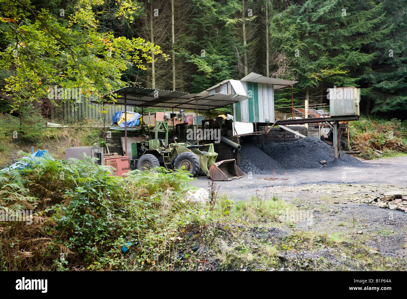 Monument Pit coal mine in the Forest of Dean at Bixslade