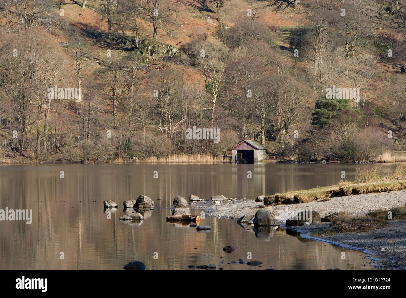 The wooded slopes around Rydal Water. Cumbria. Stock Photo