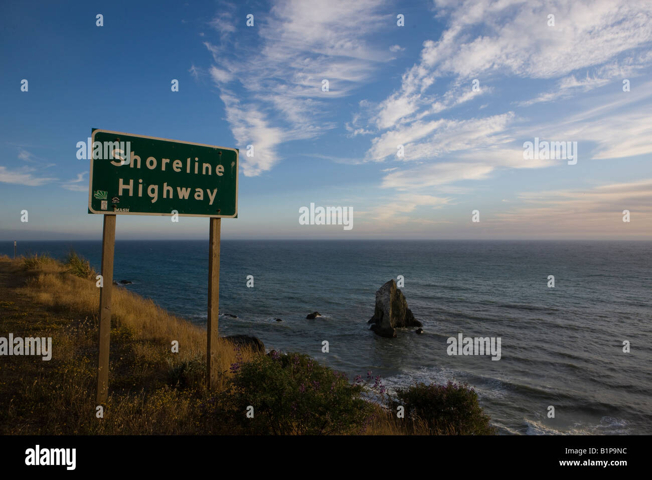 Steep cliffs and rocks line the shore of the Pacific Ocean along California Highway 1 (The Shoreline Highway) in north Mendocino Stock Photo