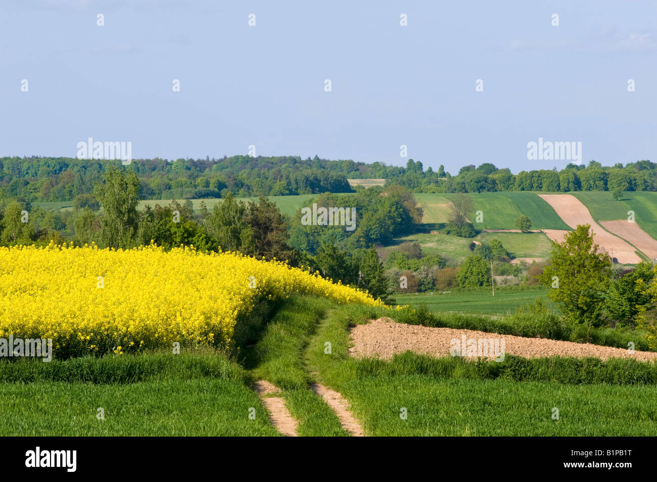 Rural Landscape In Eastern Poland Near Lublin Poland Stock Photo Alamy