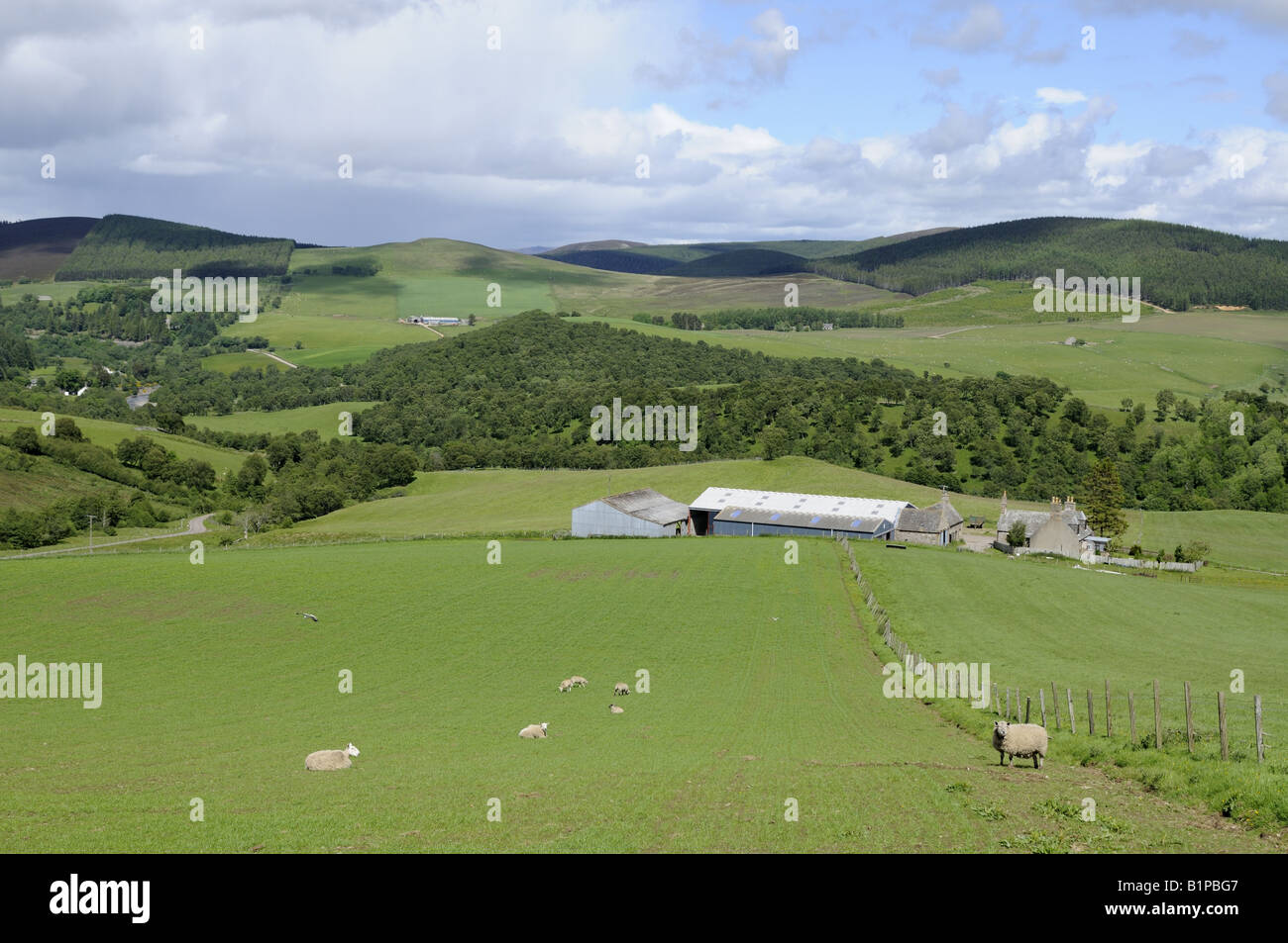 Mixed Land use in Glenlivet Tomintoul Banffshire Scotland Stock Photo