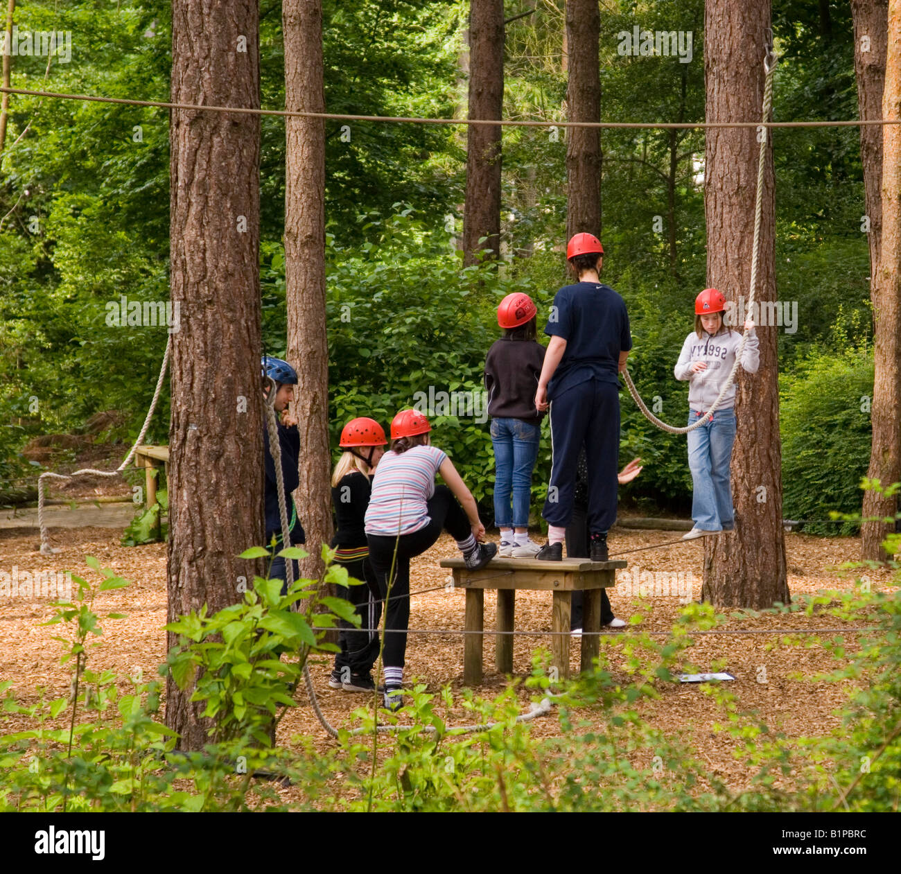 People Doing Climbing Activity At Center Parcs at Elveden near Thetford