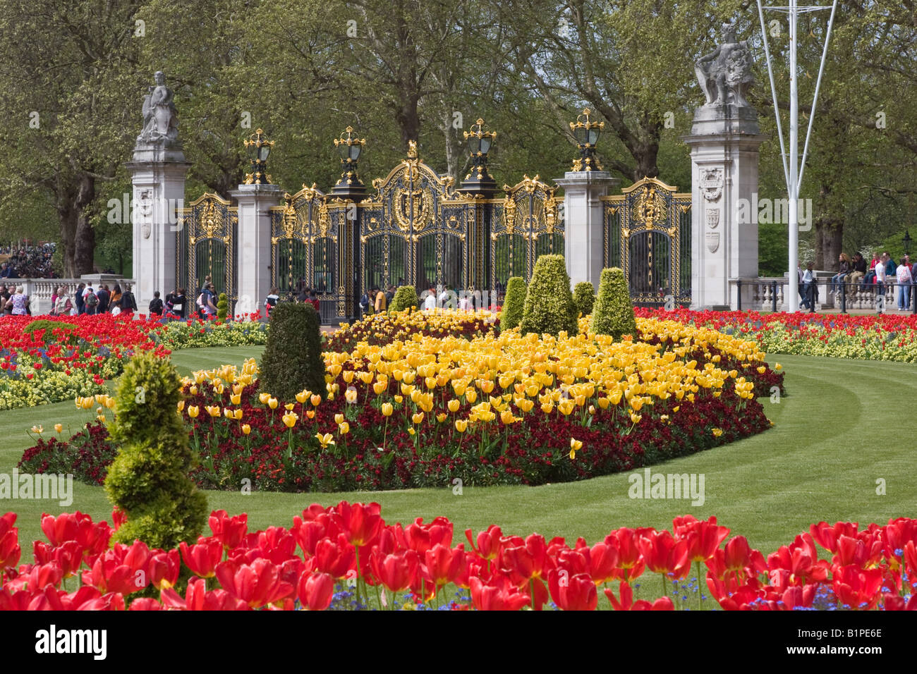 Spring Tulips at Memorial Gardens and Canada Gates near Buckingham Palace Park London England Stock Photo
