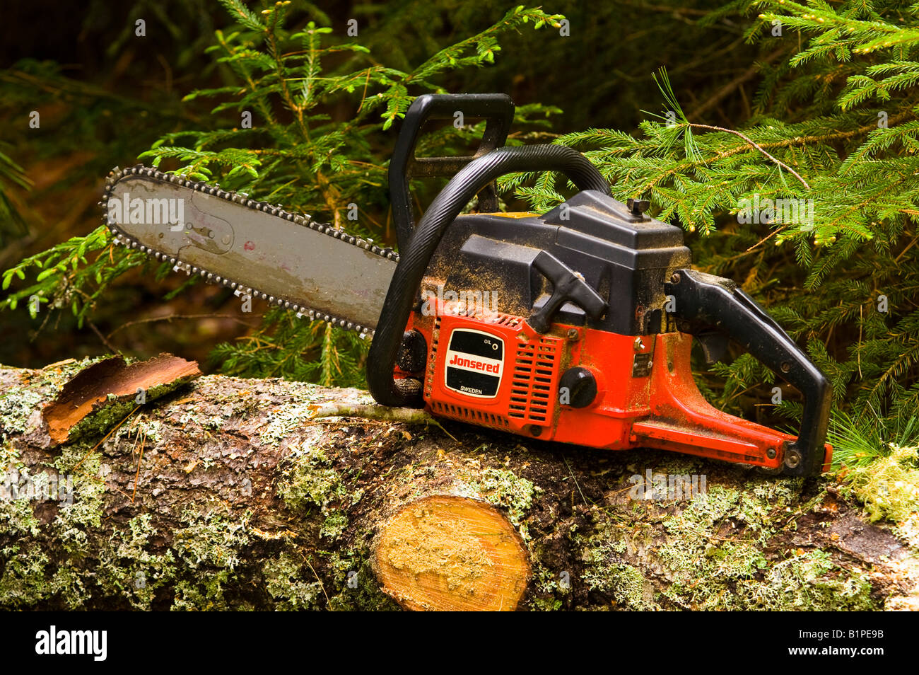 A chainsaw sits on a log in the forest Stock Photo - Alamy