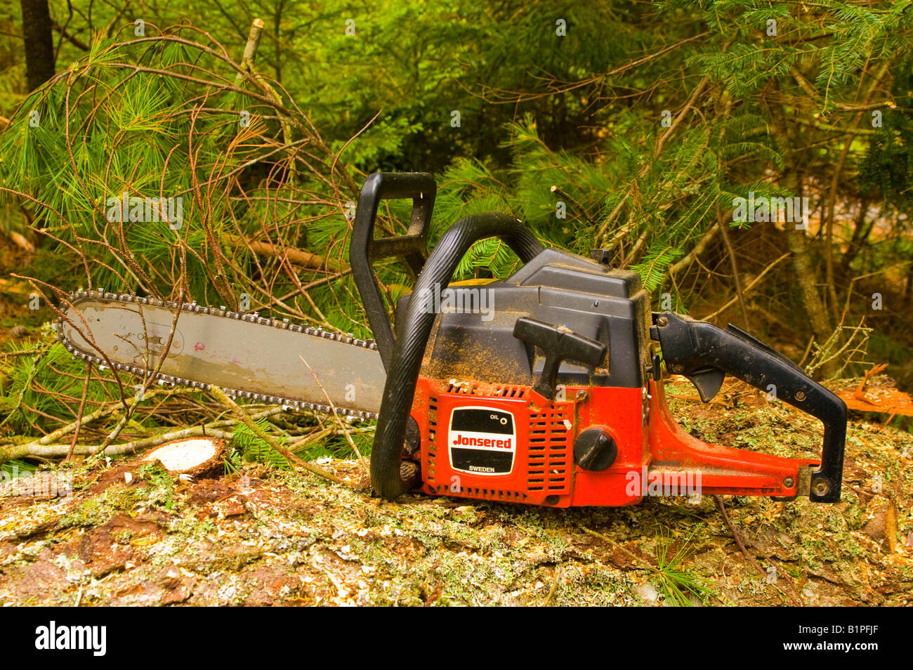 Chainsaw cut down tree in hi-res stock photography and images - Alamy