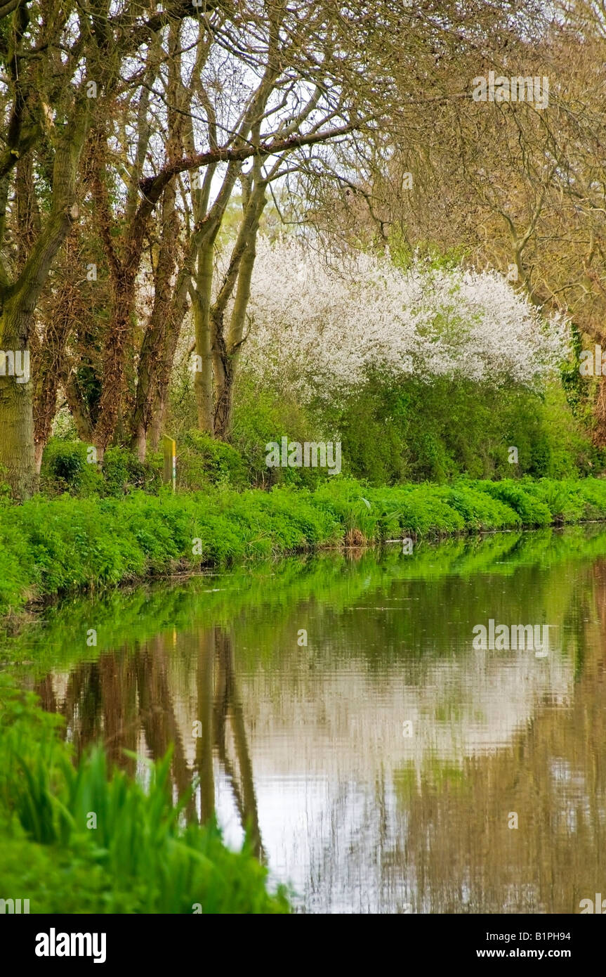 bank banks river rivers riverside waterside bush bushes trees plants
