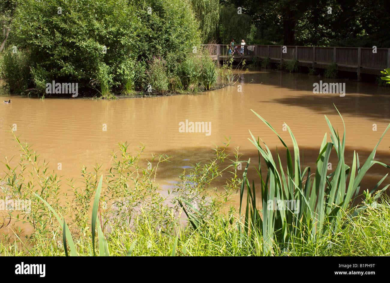 Artificial lake in a park in England with brown muddy water Stock Photo