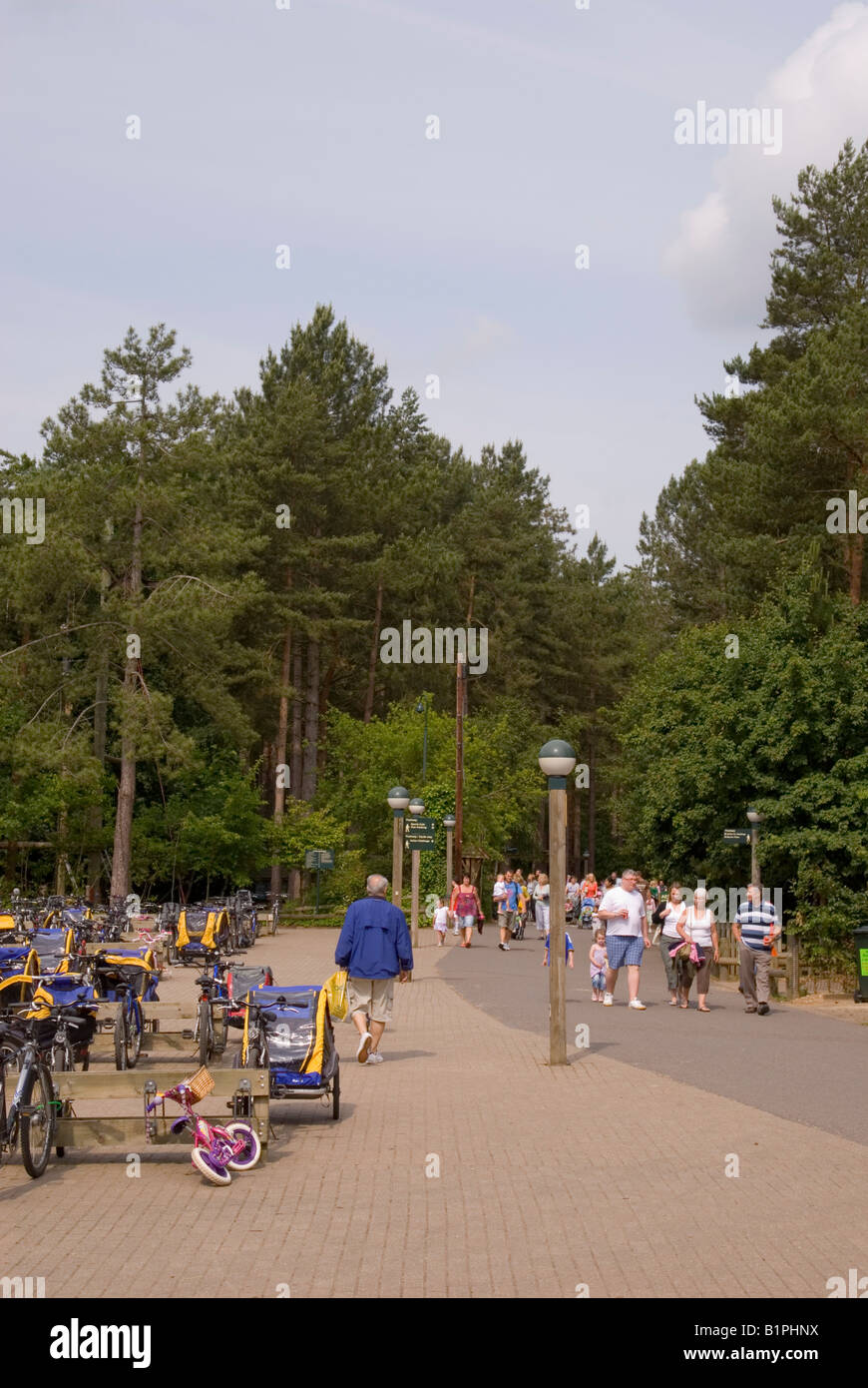 Center Parcs at Elveden near Thetford,Uk Stock Photo Alamy