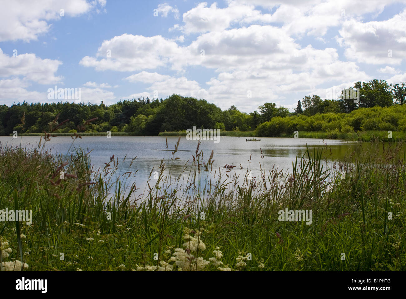 Warnham Mill Pond near Horsham, West Sussex, UK Stock Photo