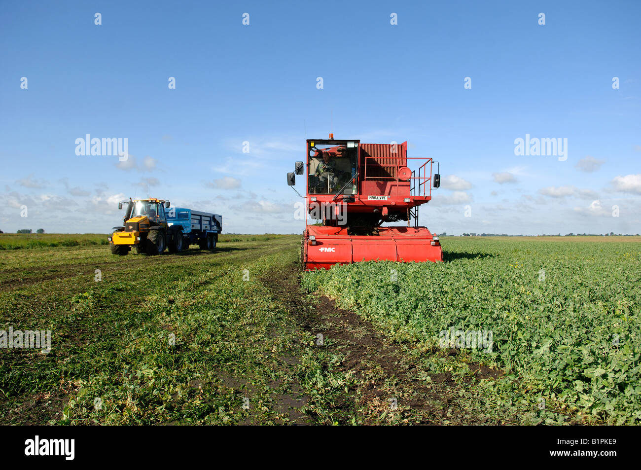 Pea harvest machine hi-res stock photography and images - Alamy