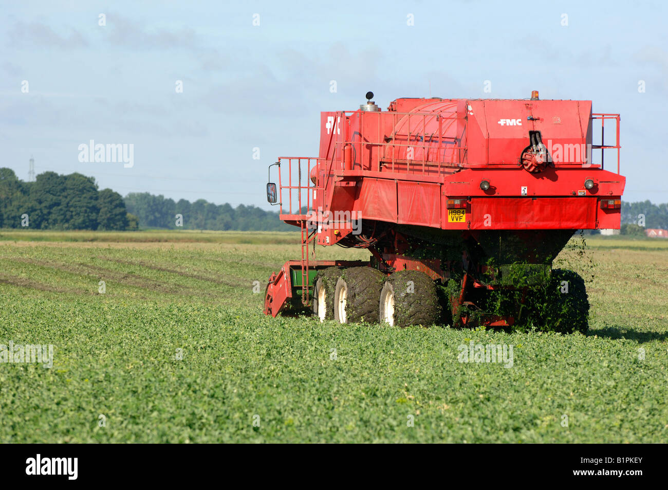 Pea harvester hi-res stock photography and images - Alamy