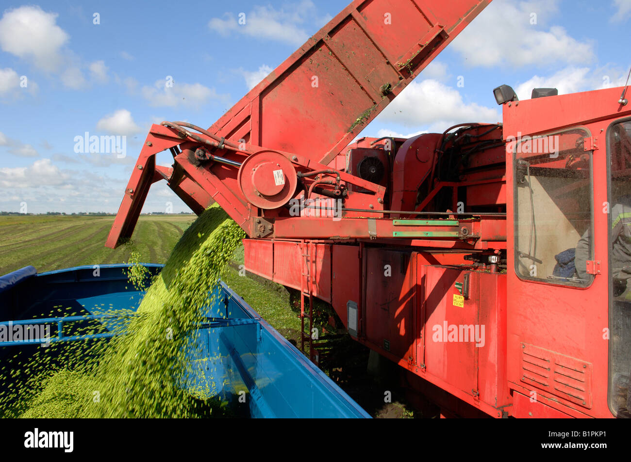 Pea harvest machine hi-res stock photography and images - Alamy