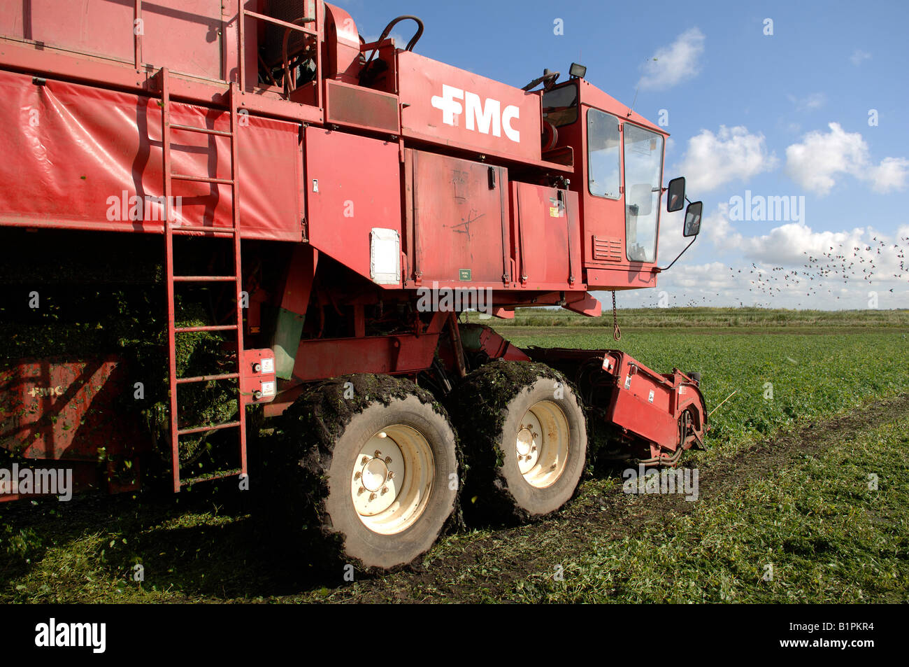 Pea harvest machine hi-res stock photography and images - Alamy