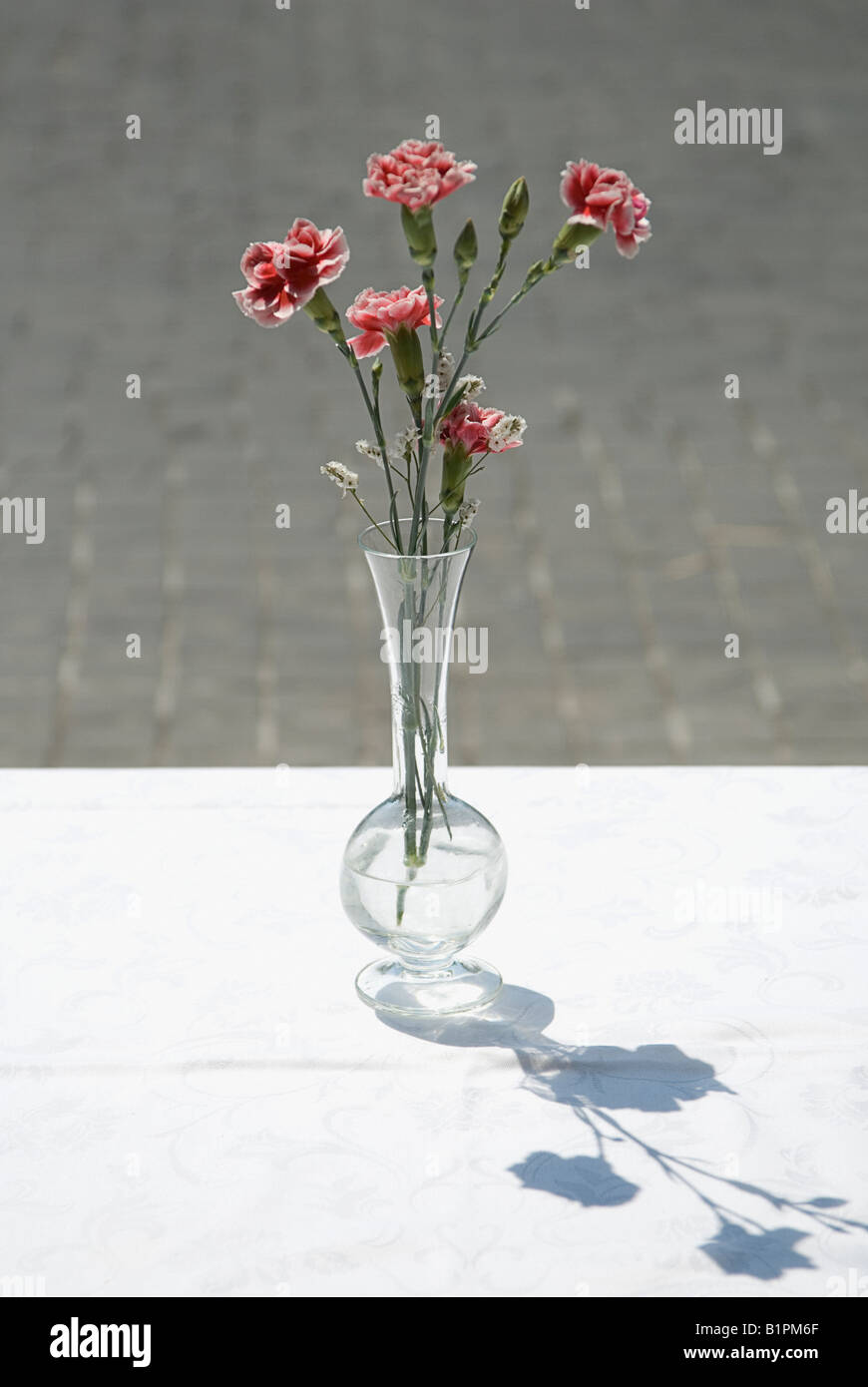 Tall Thin Vase Of Carnations On Restaurant Table Stock Photo