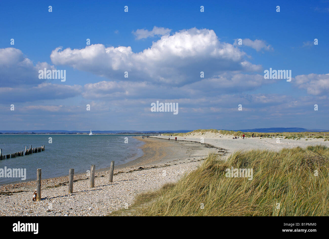 East Head seen from West Wittering in West Sussex Stock Photo Alamy