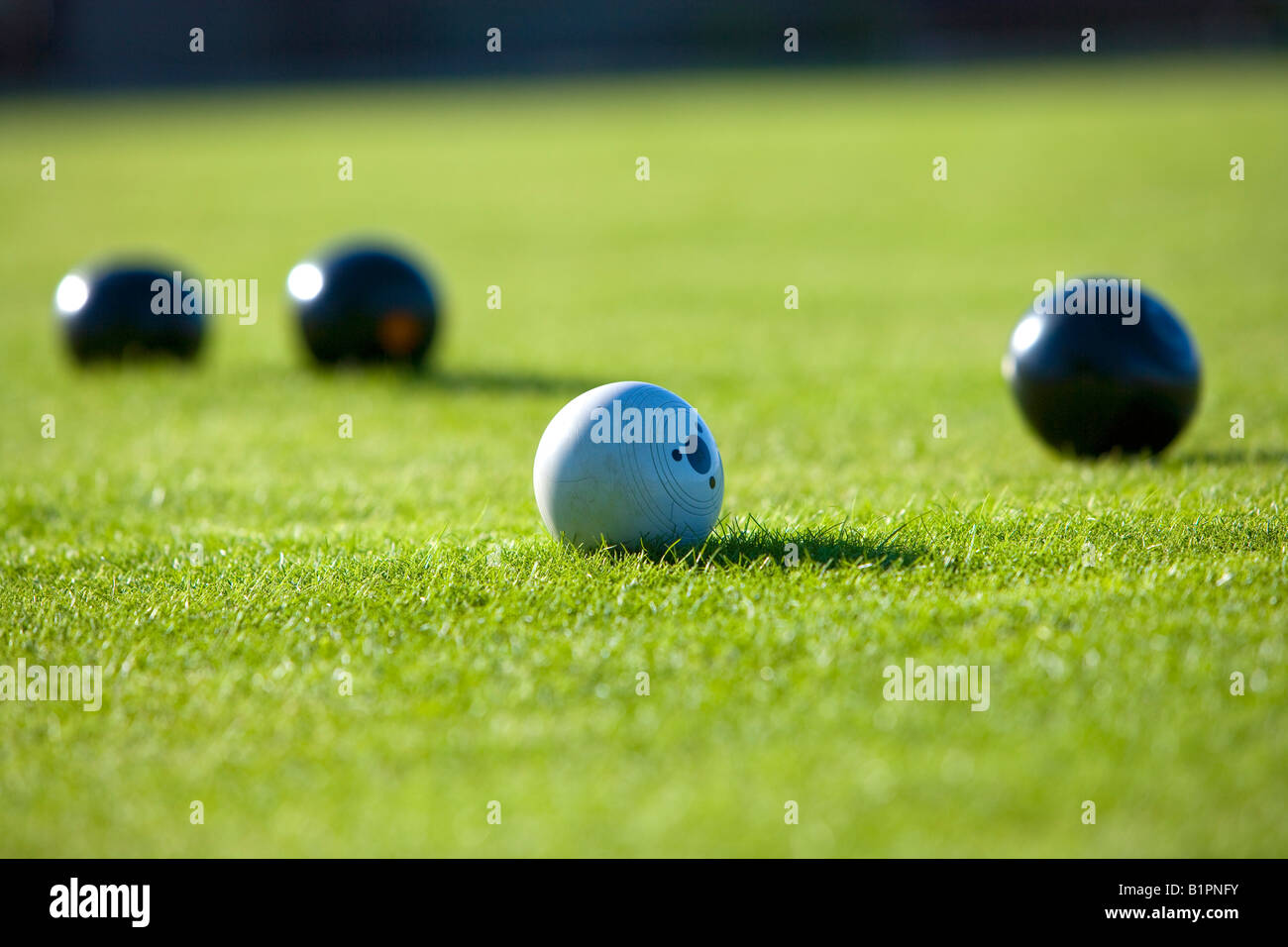 bowls on a crown green bowling green Stock Photo Alamy