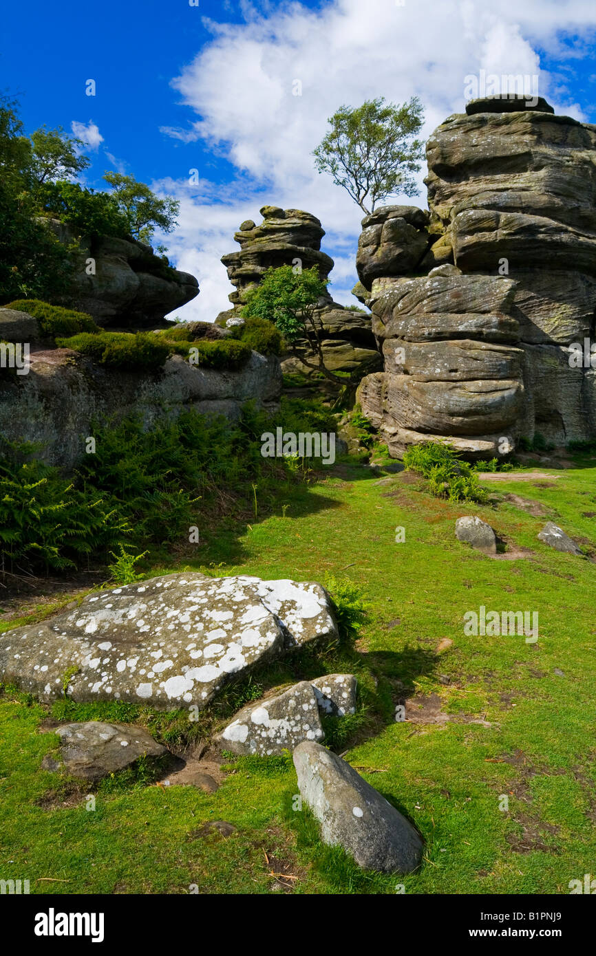 Brimham Rocks in Nidderdale in North Yorkshire England UK Stock Photo