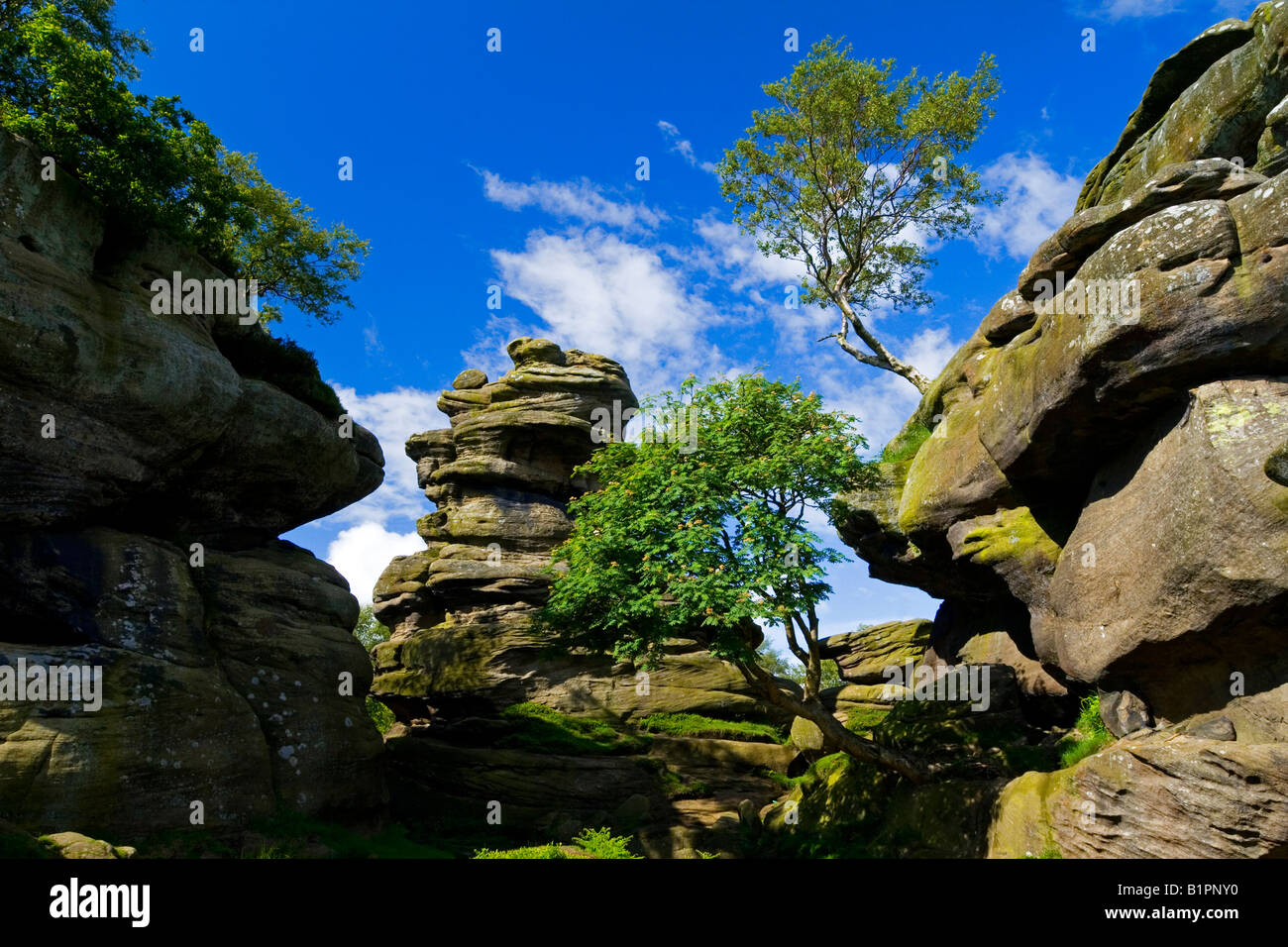 Brimham Rocks in Nidderdale in North Yorkshire England UK Stock Photo