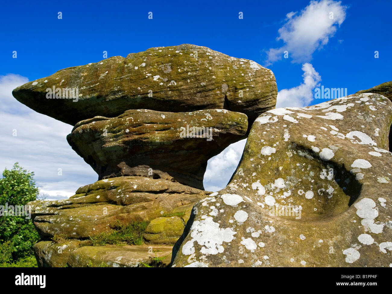 Brimham Rocks In Nidderdale In North Yorkshire England UK Stock Photo Alamy