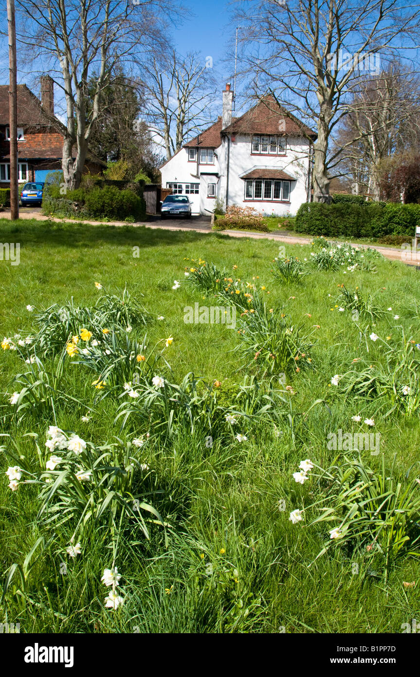 houses in Dorking, Surrey, England Stock Photo Alamy