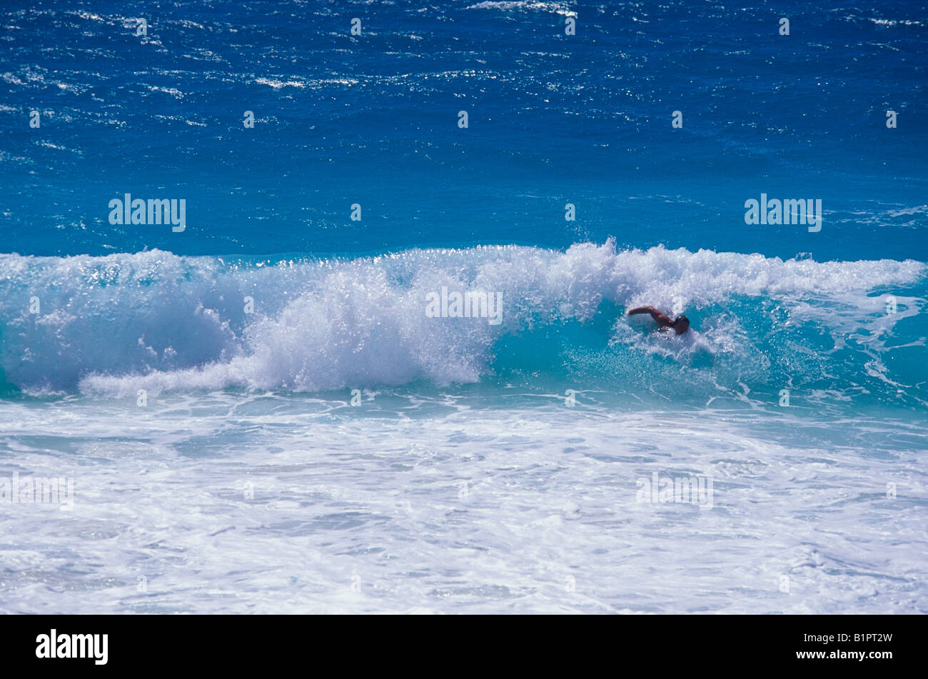 A lone man bodysurfing in the glorious crashing waves of the Atlantic Ocean breaking near shore of Cancun, Quintana Roo, Mexico Stock Photo