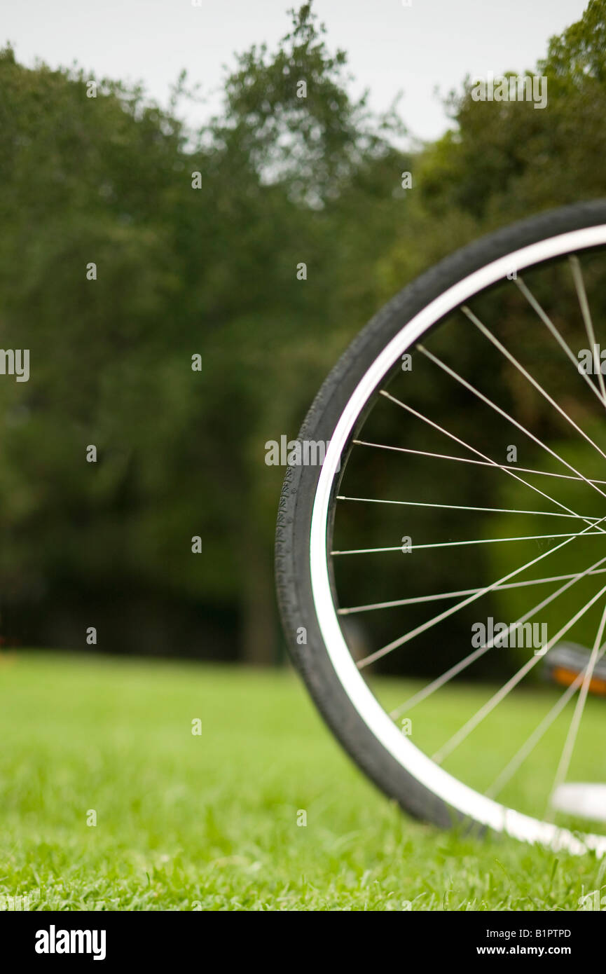 bicycle wheel at park Stock Photo