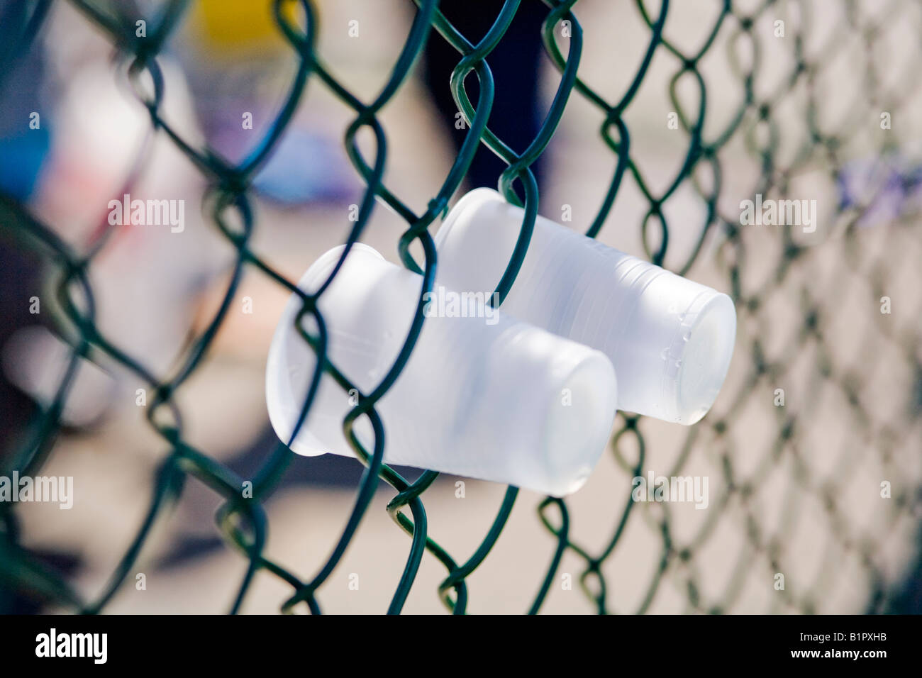 Plastic cups pushed through a green fence Stock Photo