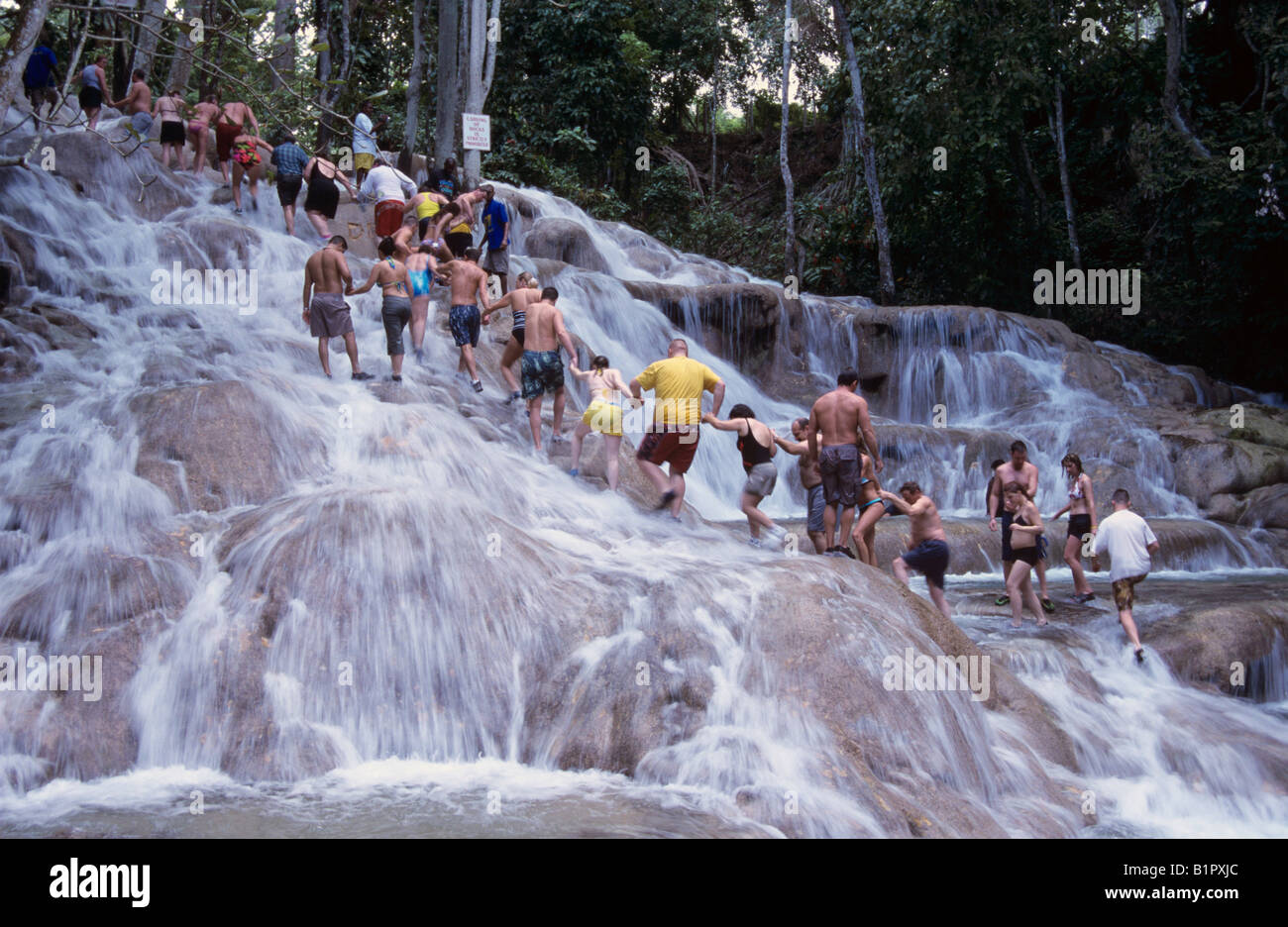 Tourists forming human chain Dunn s River Falls Ocho Rios Jamaica January 2005 Stock Photo
