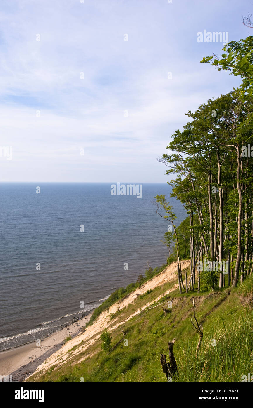 Wolin National Park overlooking Baltic Sea Poland Stock Photo - Alamy